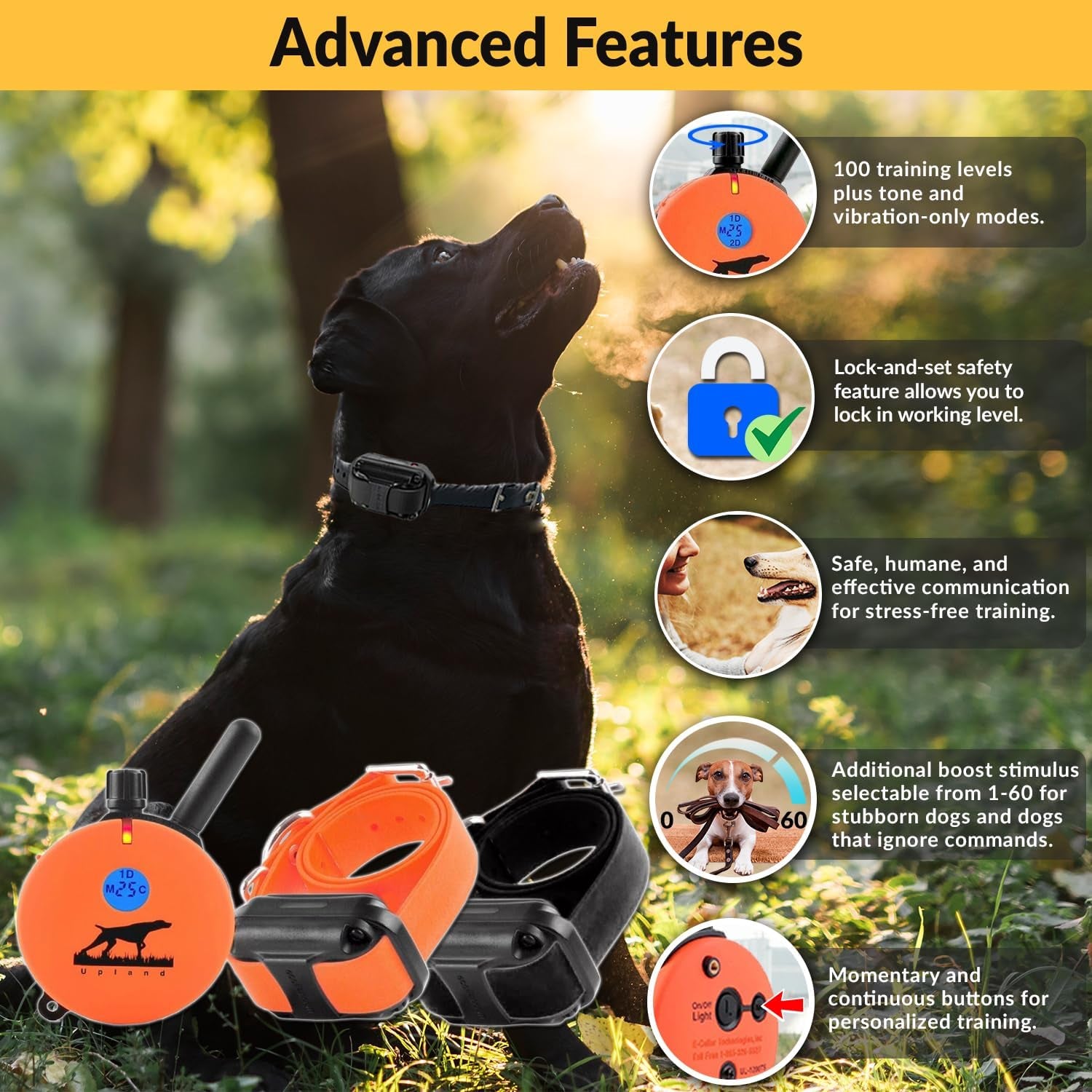 E-Collar Humane Dog Training Collar with Remote, Features 100 Levels of Safe Stimulation, Tapping Sensation, Night Light, Waterproof, Rechargeable, 1 Mile 2 Dog, Upland Orange