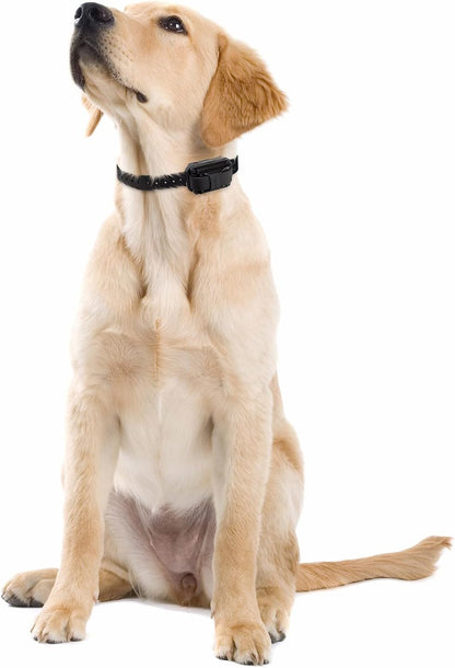 E-Collar Humane Dog Training Collar with Remote, Features 100 Levels of Safe Stimulation, Tapping Sensation, Night Light, Waterproof, Rechargeable, 1 Mile 2 Dog, Upland Orange