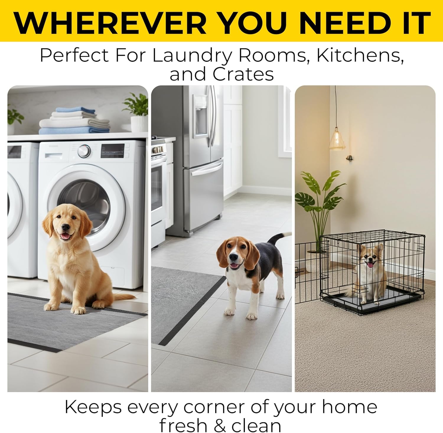 for Pets Activated Carbon Dog Pee Pads | Puppy Training Pads for Absorbing Odor and Urine, 100 Count