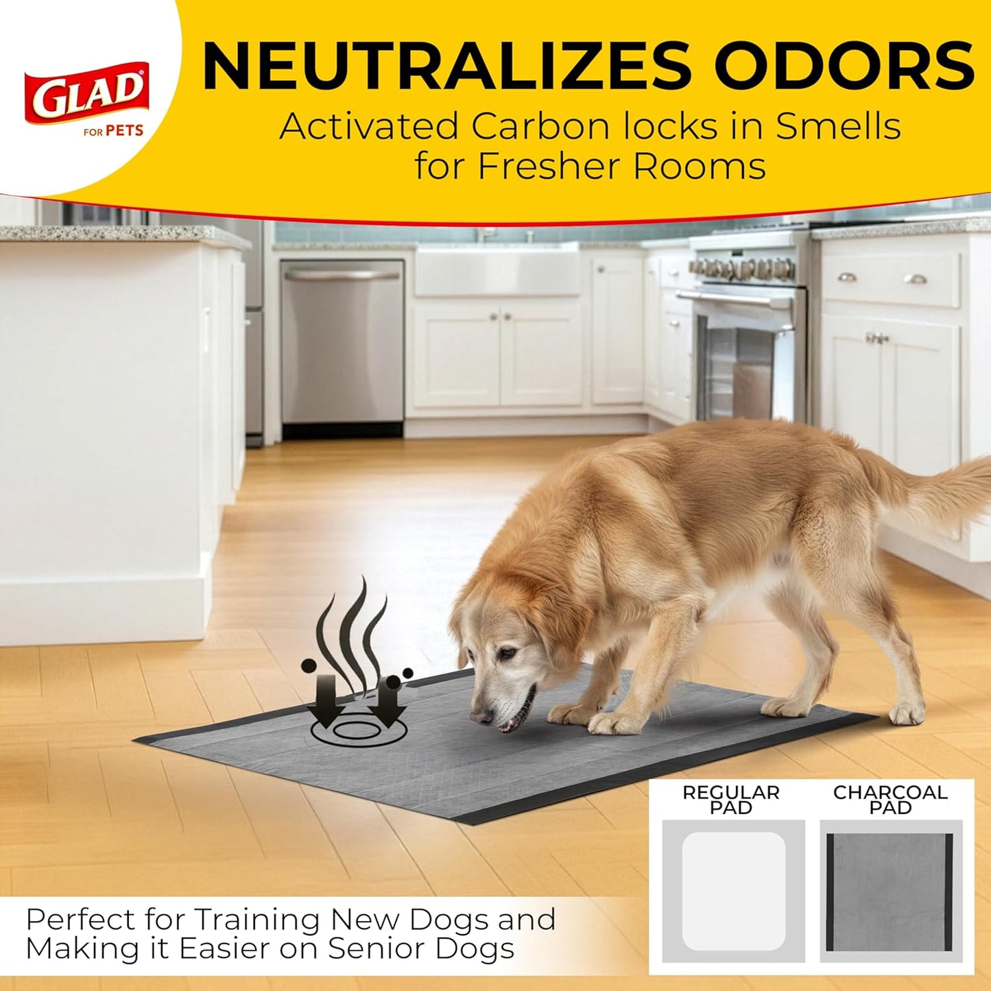 for Pets Activated Carbon Dog Pee Pads | Puppy Training Pads for Absorbing Odor and Urine, 100 Count