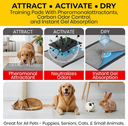 for Pets Activated Carbon Dog Pee Pads | Puppy Training Pads for Absorbing Odor and Urine, 100 Count