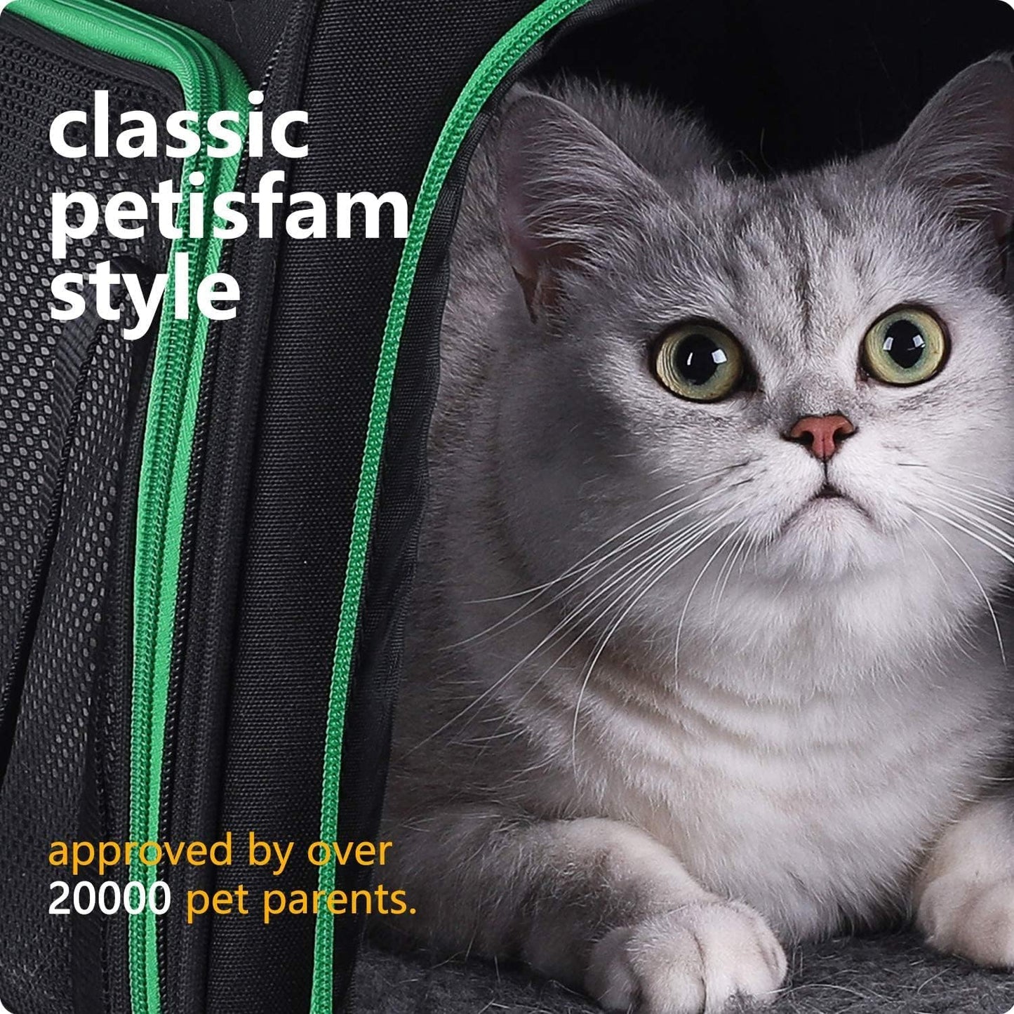 Pet Carrier for Medium Cats and Small Dogs. Easy to Get Cat in and Escape Proof